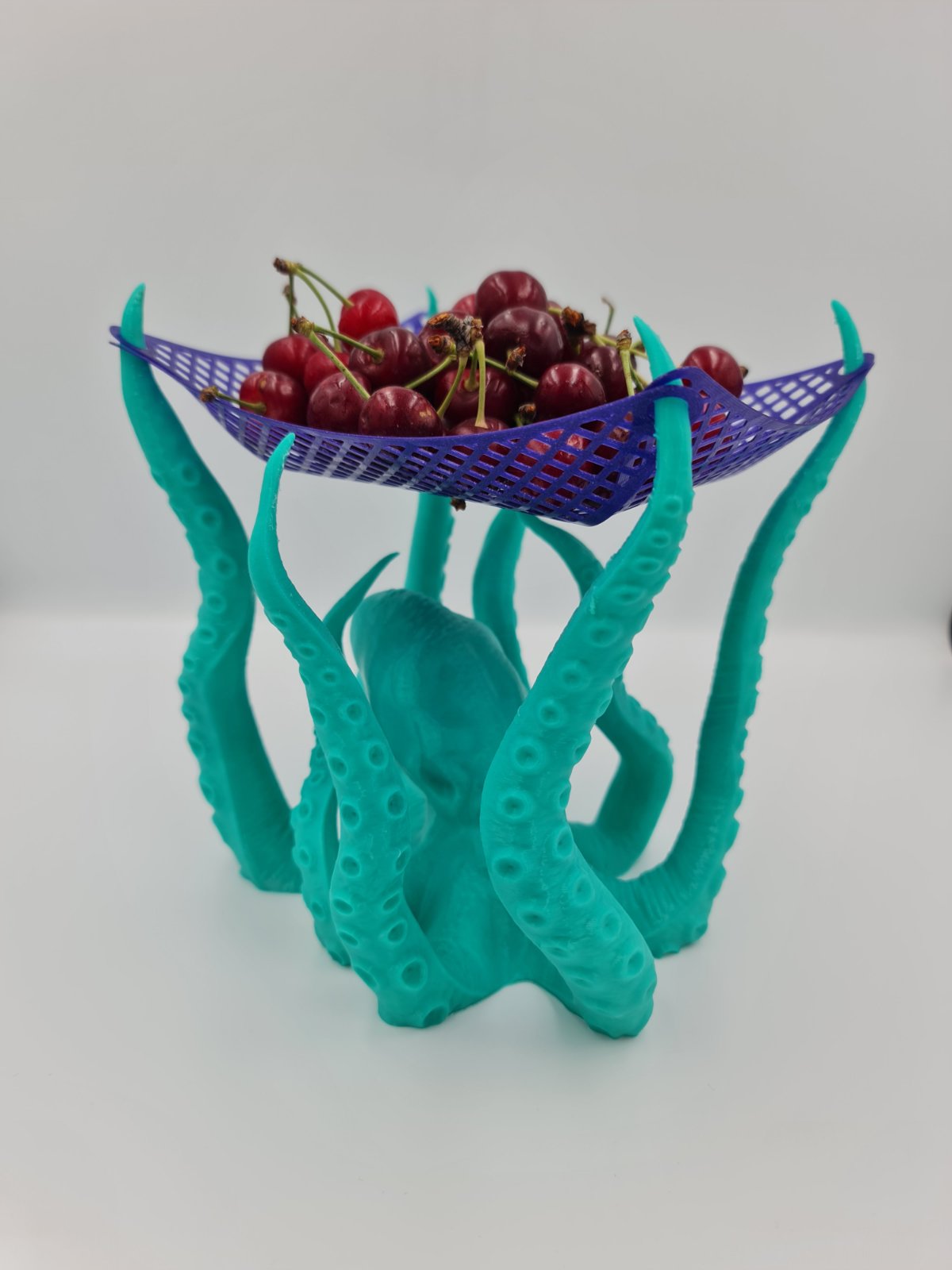 Octopus Multi-Purpose Holder