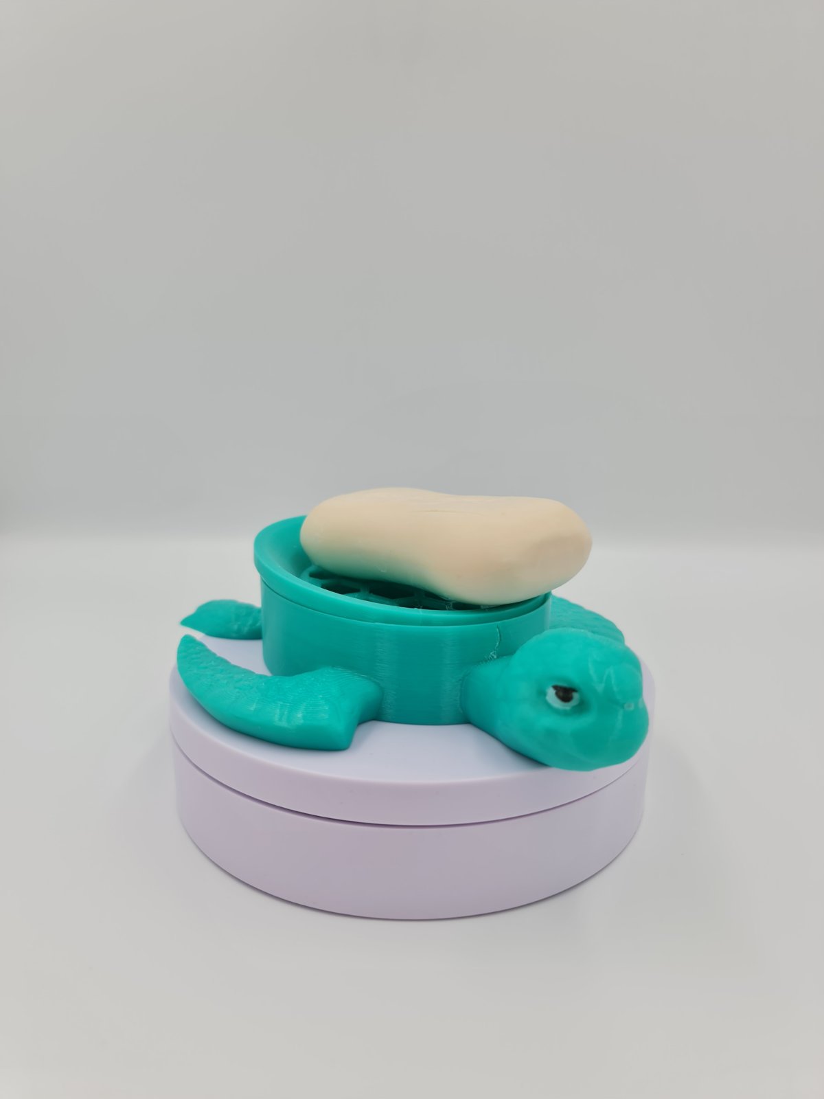 Sea Turtle Soap Dish
