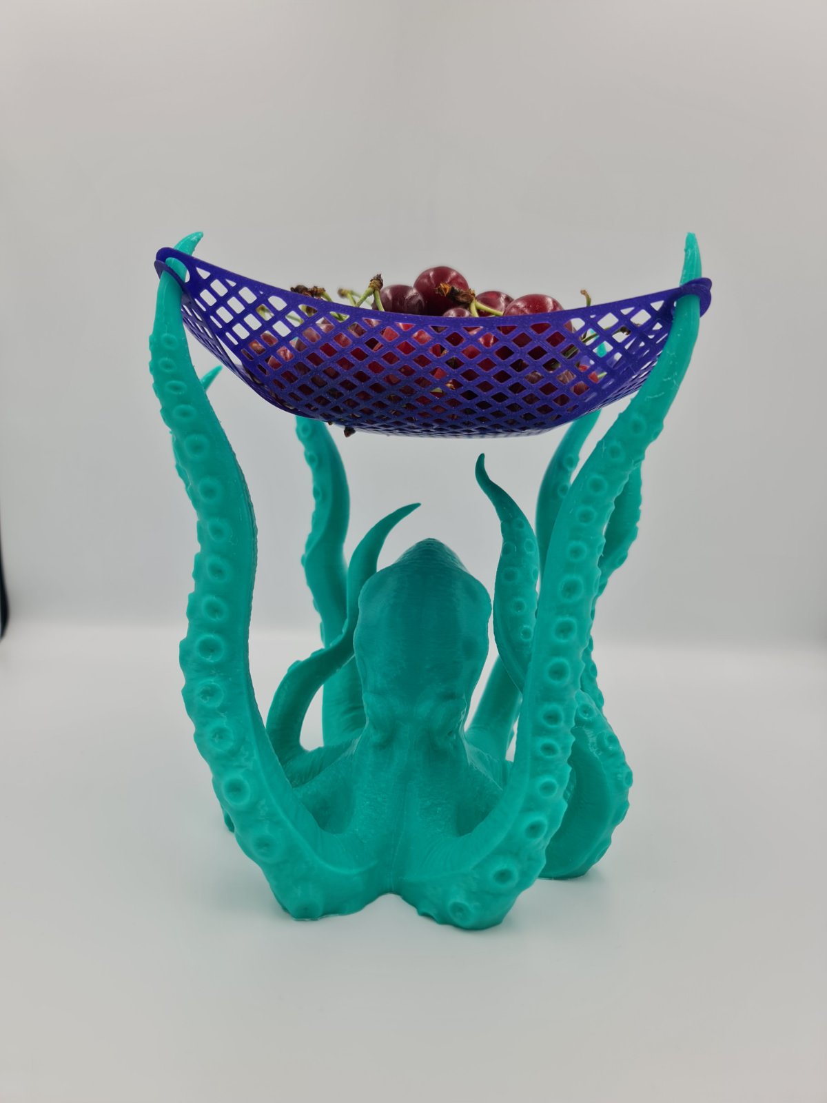 Octopus Multi-Purpose Holder