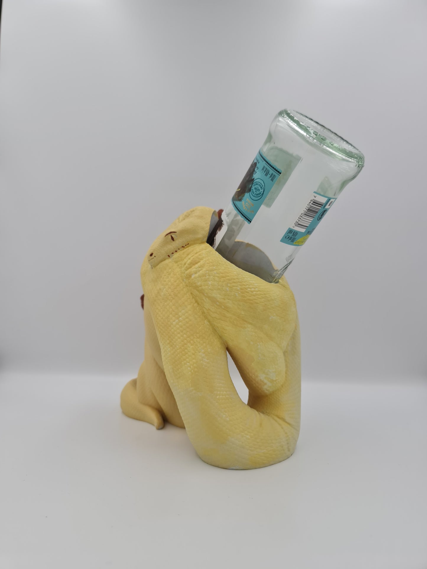 Python Bottle Holder