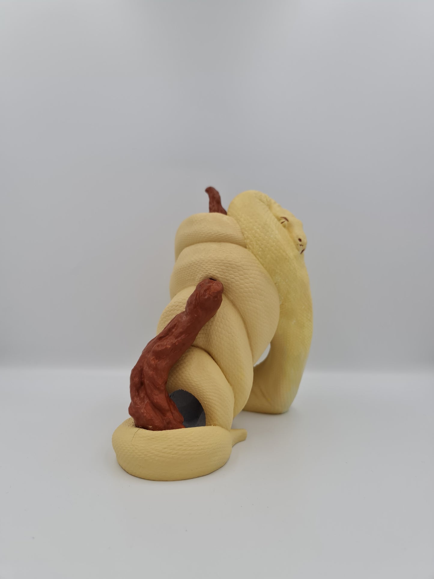 Python Bottle Holder