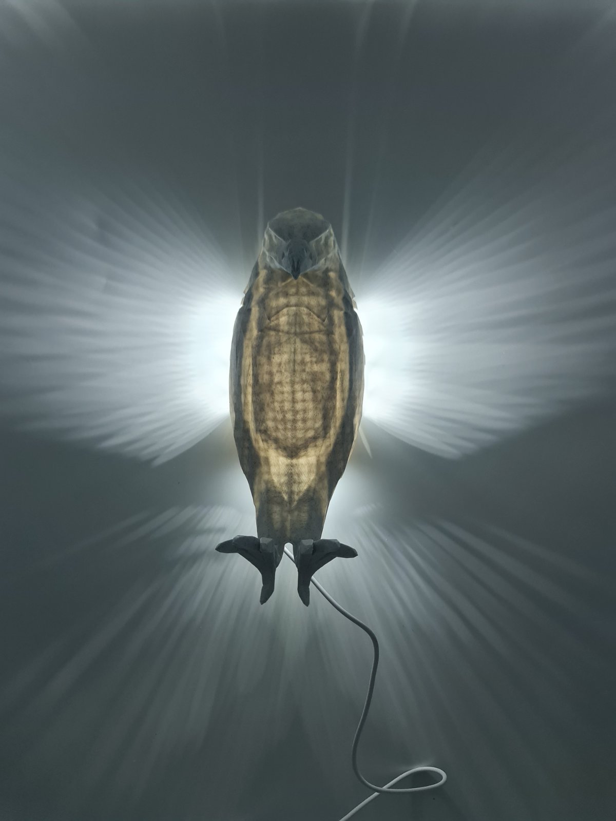 Majestic Eagle Wall Lamp